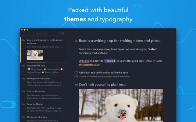 Bear Notes for Windows PC